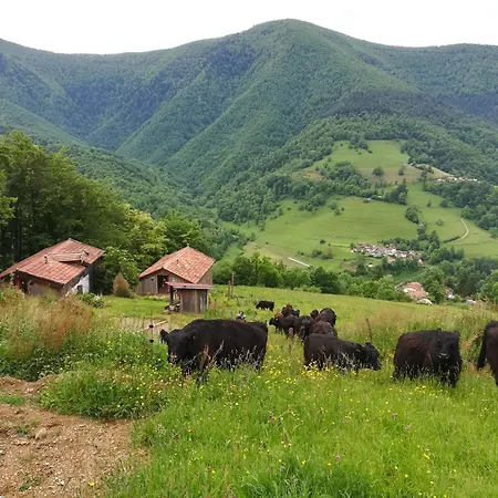 Nyaraló Du Pic Noir *