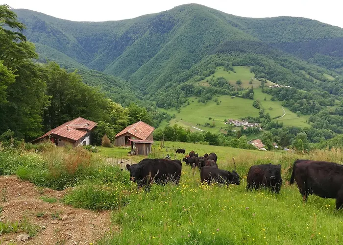 Tatil Evi Du Pic Noir *